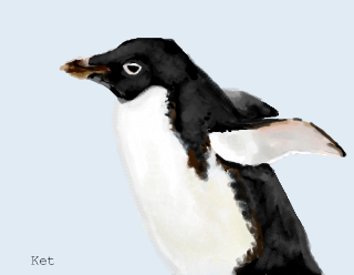 "Adélie Penguin", by Ket