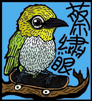 "Untitled (skateboarding bird)", by twtpggazhu
