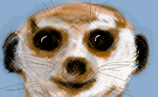 "Meerkat Face", by Czsieyjh