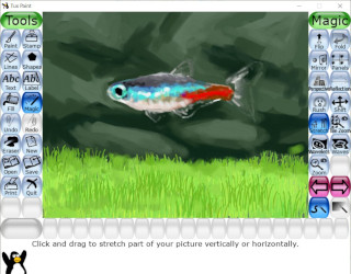 "Neon Tetra", by Ket