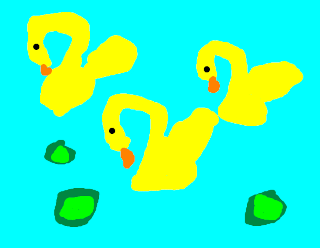"Swans", by Chrisa