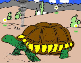 "Turtle in the Desert", by Danish