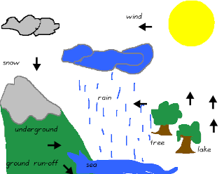 "Water Cycle", by Shail