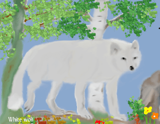 "White Wolf", by Mitch G.