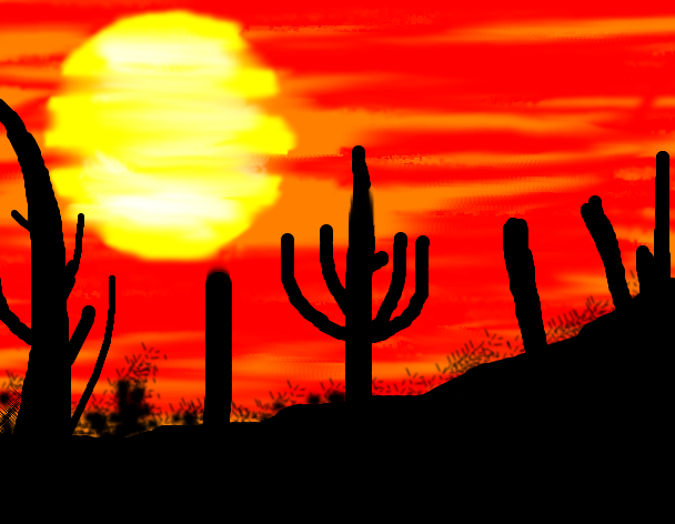 Download 'Cactus at sunset'