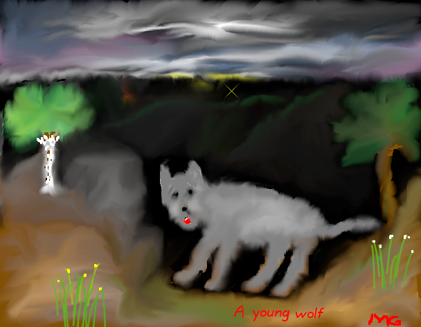 Tux Paint drawing: 'A young wolf'