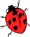 animals/insects/cartoon/ladybug-2.png