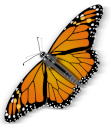 animals/insects/cartoon/monarchbutterfly.svg