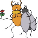 animals/insects/cartoon/spider_fly.png