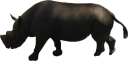 animals/mammals/rhino_black.png