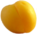 food/fruit/apricot.png
