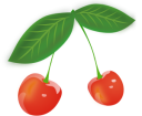 food/fruit/cartoon/cherries2.svg