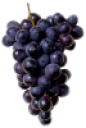 food/fruit/grapes.png