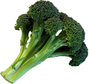 food/vegetables/broccoli.png