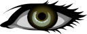 people/body_parts/eye_brown_left.png