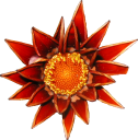 plants/flowers/red-gazania.png